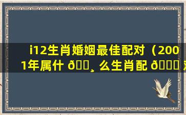 i12生肖婚姻最佳配对（2001年属什 🌸 么生肖配 🐘 对最好婚姻）